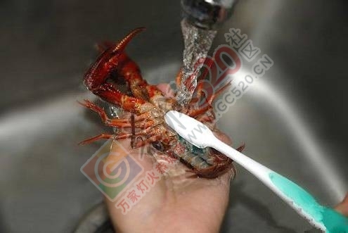 【恭城大吃拜】绝了，用这一招去满足你夏日的味蕾！537 / 作者:啤酒加烤串儿 / 帖子ID:226815