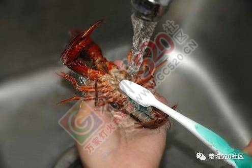 【恭城大吃拜】绝了，用这一招去满足你夏日的味蕾！162 / 作者:爱生活爱美食 / 帖子ID:227406
