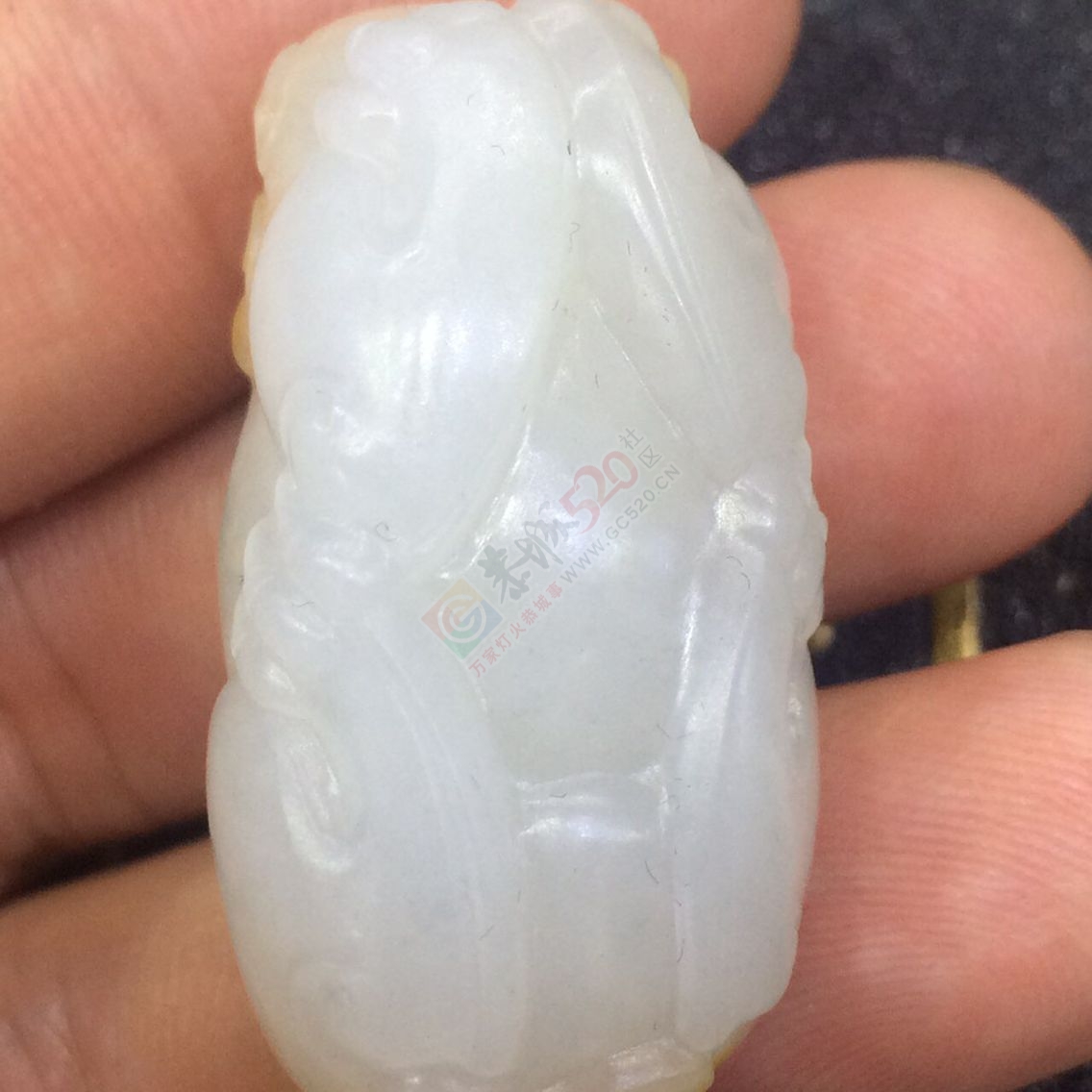 转让一只新疆和田玉枣红皮貔貅601 / 作者:晚霞行千里 / 帖子ID:227502