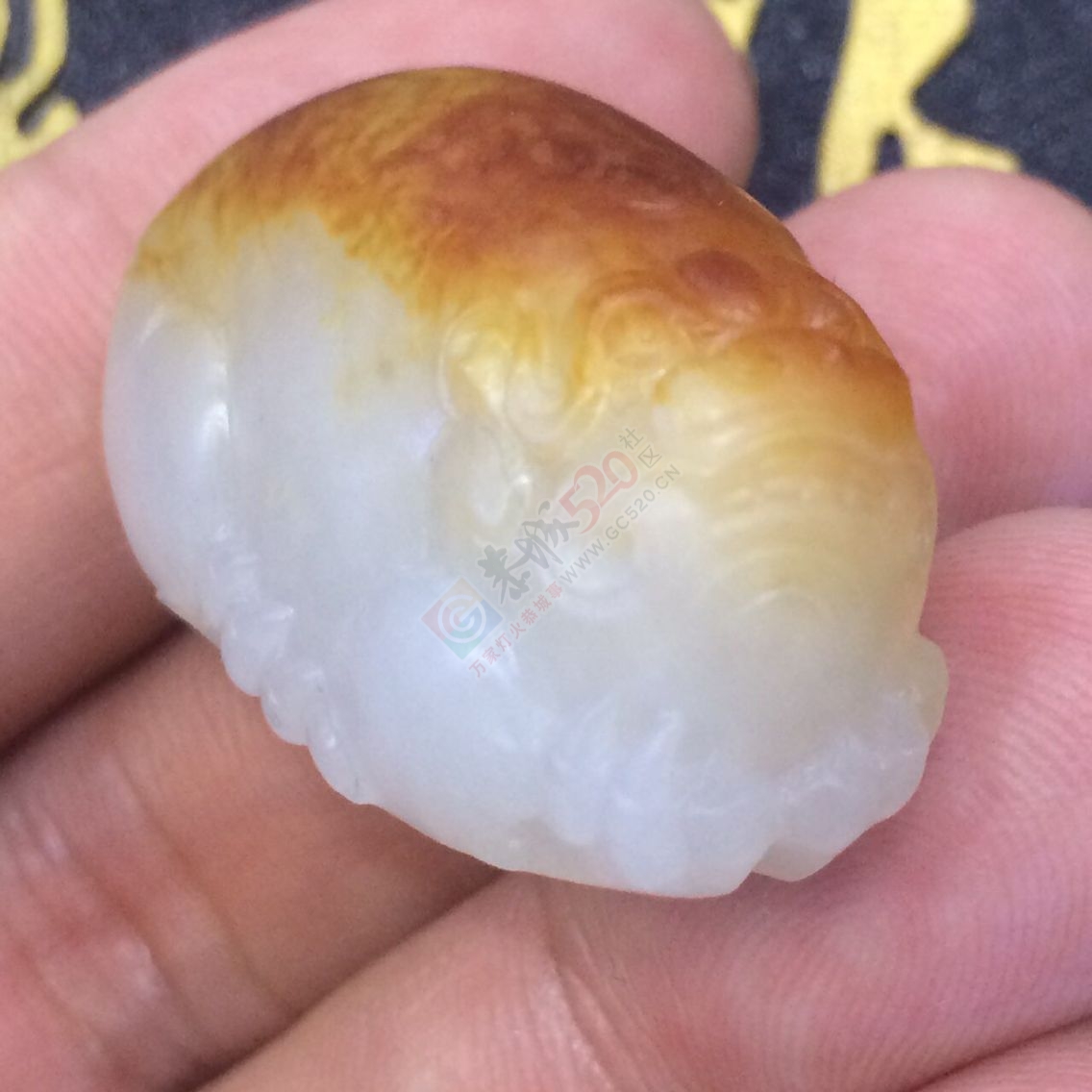 转让一只新疆和田玉枣红皮貔貅805 / 作者:晚霞行千里 / 帖子ID:227502