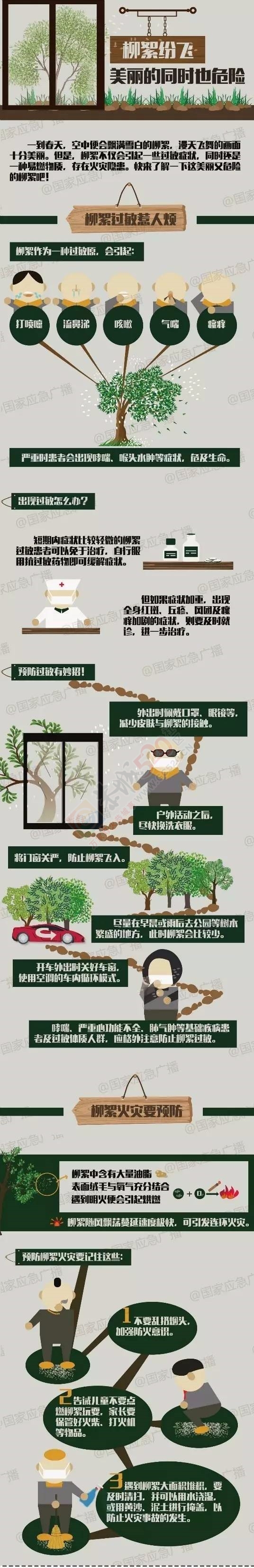 最美不过四月天，漫天飞舞的竟是安全隐患！55 / 作者:对岸烽火 / 帖子ID:227587
