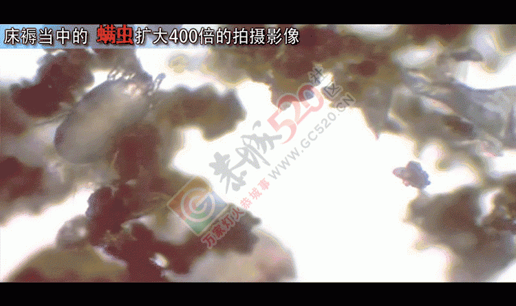 凉席一年没用，掀开后夸张成这样！恭城人都看看吧528 / 作者:jphzy / 帖子ID:231975