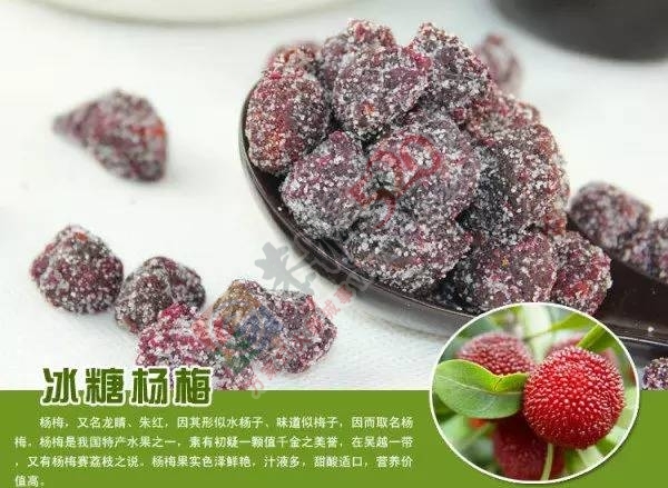 又到一年杨梅季，恭城的小伙伴们准备好纸巾擦口水了么？359 / 作者:啤酒加烤串儿 / 帖子ID:232025