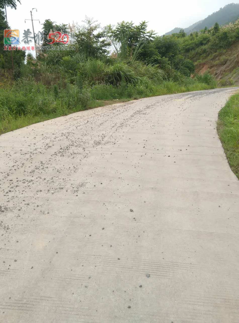有空来北溪至东科这路看看吧587 / 作者:狗婆蛇 / 帖子ID:232486