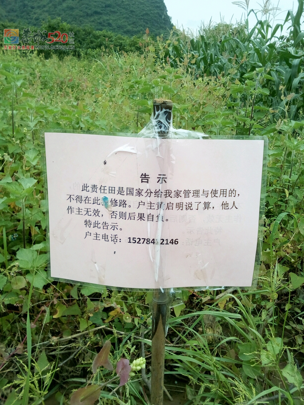 要致富，得先修路756 / 作者:开心你我 / 帖子ID:232492