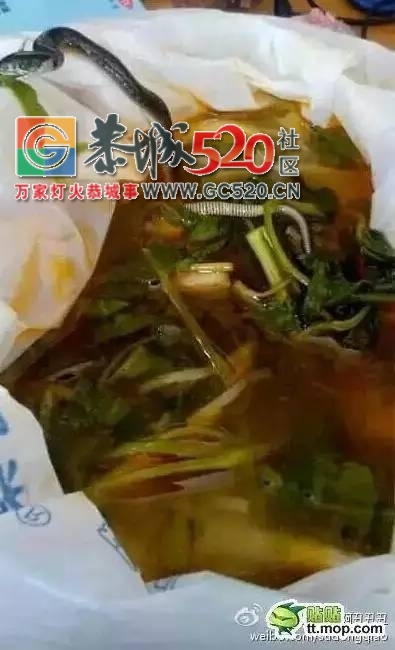 广西大学生螺蛳粉里吃出蛇最新消息：涉事粉店已停业当事女生回应了844 / 作者:jphzy / 帖子ID:232497