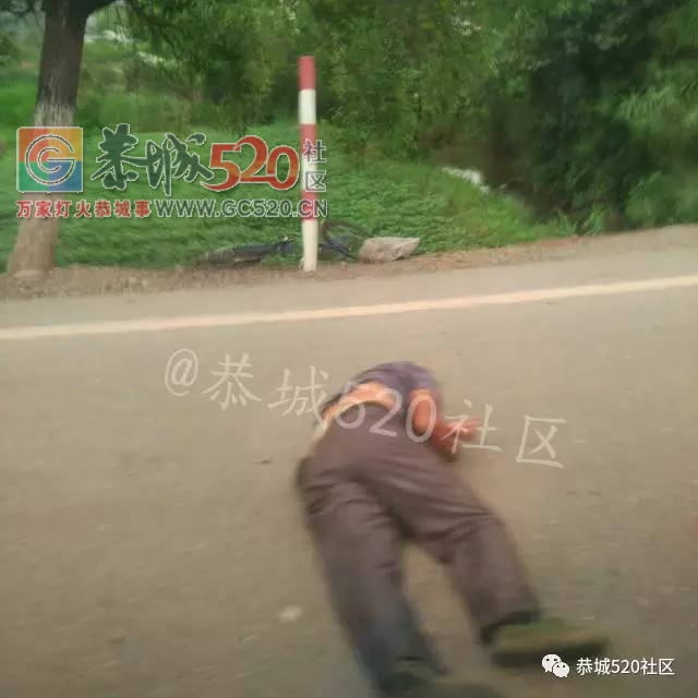 西岭杨柳村附近一老人骑单车被撞，倒地不起，单车直接被撞飞到路边270 / 作者:社区小编 / 帖子ID:232501