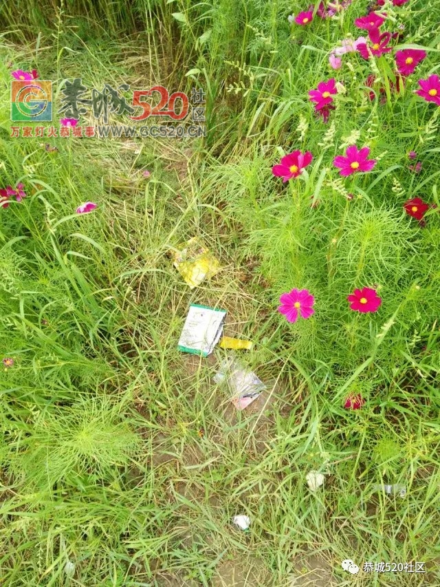 【恭城身边事】北溪至东科路段碎石满地危机四伏；邓扒格桑花海被任性踩踏让人唾310 / 作者:社区小编 / 帖子ID:232503