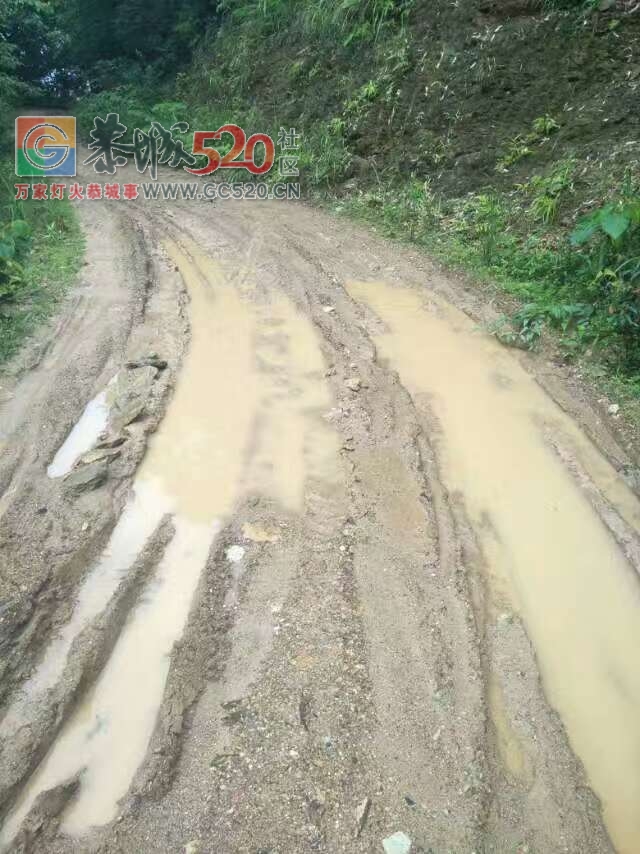 来自一个恭城加会西南村南江源村民的心声！899 / 作者:看清所以看轻 / 帖子ID:232582