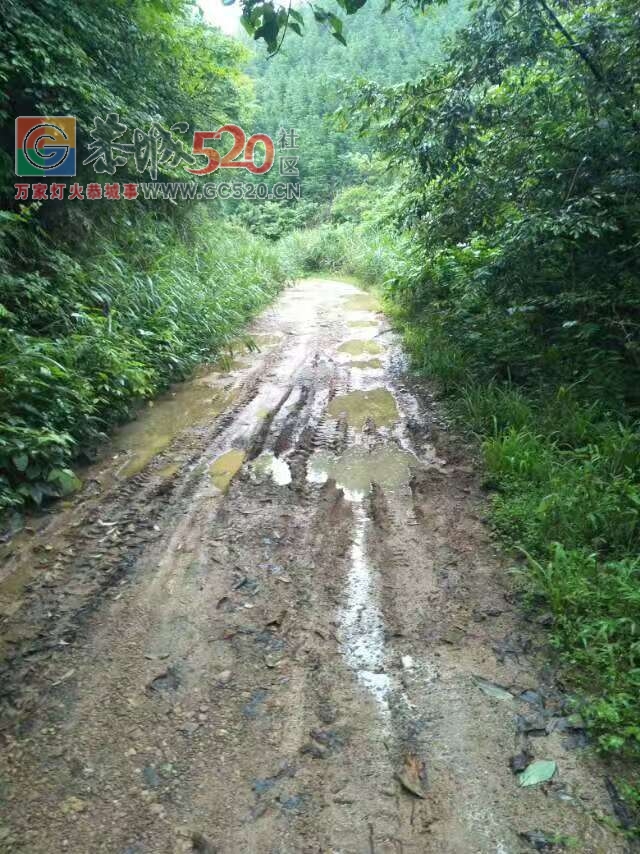 来自一个恭城加会西南村南江源村民的心声！236 / 作者:看清所以看轻 / 帖子ID:232582
