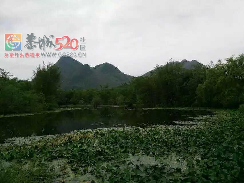 恭城荆柴塘村民们自己集资修路，希望能得到帮助跟帮助！704 / 作者:分叉路口 / 帖子ID:232585