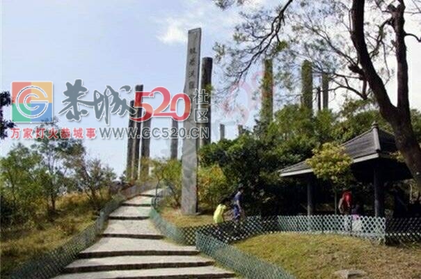 2017年 8月4日香港三晚露营两晚酒店纯玩6日游566 / 作者:光头铁（老铁） / 帖子ID:232807