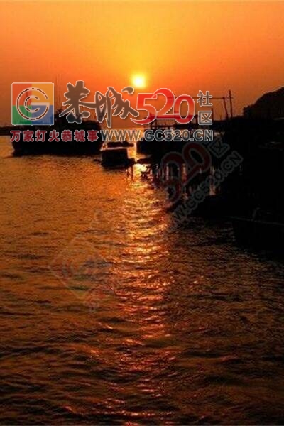 2017年 8月4日香港三晚露营两晚酒店纯玩6日游268 / 作者:光头铁（老铁） / 帖子ID:232807