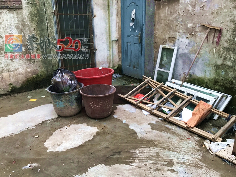 政府对面的巷子里面：脏、乱、差！！！！51 / 作者:额外听歌 / 帖子ID:232885