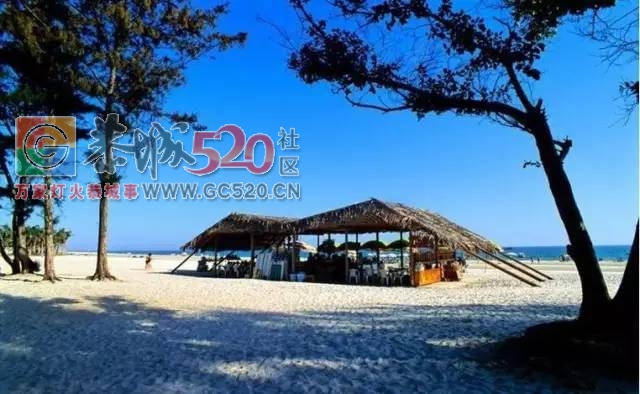 7月14—16日 畅游碧海蓝天湛江五星碧桂园 鼎龙湾十六公里海滩，逛德克萨斯牛仔小镇785 / 作者:光头铁（老铁） / 帖子ID:233247