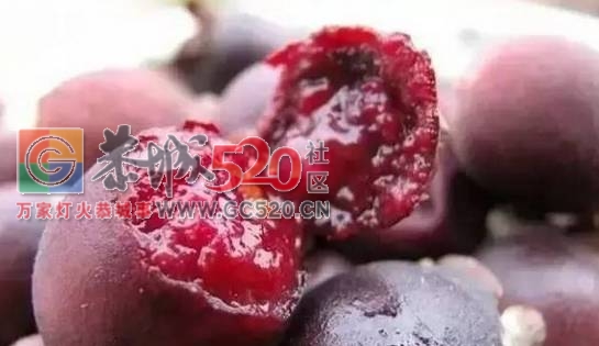 老板！恭城山头的这种野果熟啦，我要辞职去发家致富摘野果319 / 作者:社区小编 / 帖子ID:233452