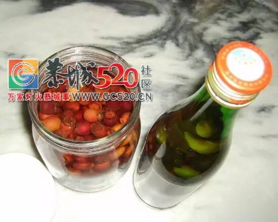 老板！恭城山头的这种野果熟啦，我要辞职去发家致富摘野果815 / 作者:社区小编 / 帖子ID:233452