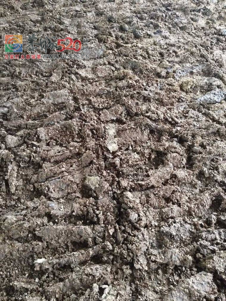 大量供应鸭粪！832 / 作者:分类小编 / 帖子ID:233813