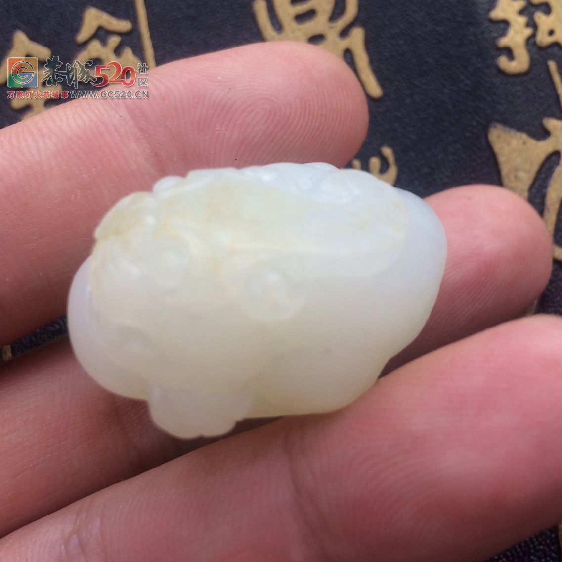 转让一块温润的新疆和田玉籽料貔貅吊坠296 / 作者:晚霞行千里 / 帖子ID:234056