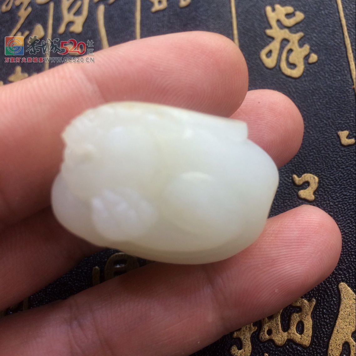 转让一块温润的新疆和田玉籽料貔貅吊坠823 / 作者:晚霞行千里 / 帖子ID:234056