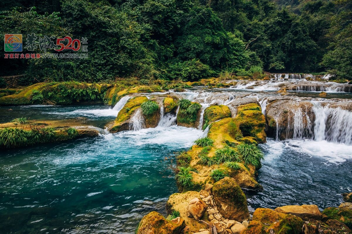 8月26日-29日南丹 歌娅思谷，贵州荔波大小七孔，西江千户苗寨4日3晚游794 / 作者:光头铁（老铁） / 帖子ID:234217