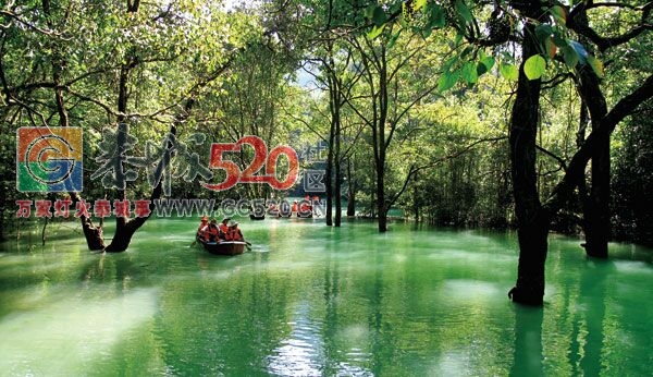 8月26日-29日南丹 歌娅思谷，贵州荔波大小七孔，西江千户苗寨4日3晚游923 / 作者:光头铁（老铁） / 帖子ID:234217
