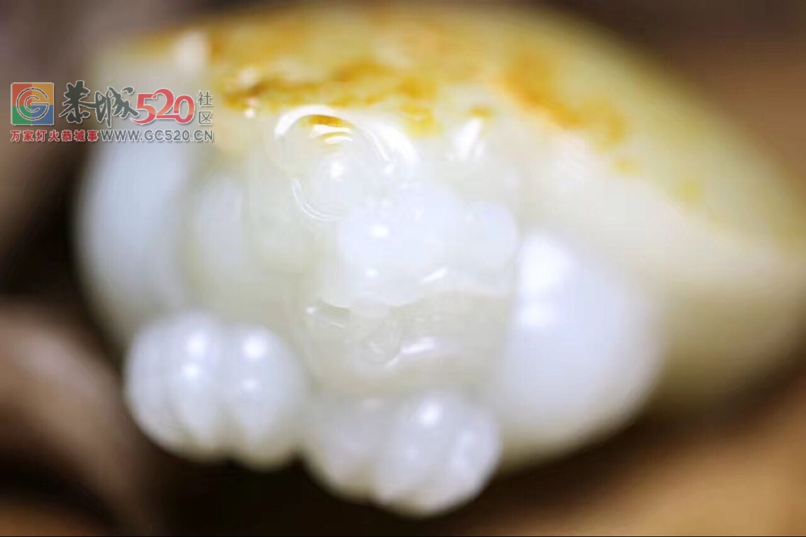 低价转让一只新疆和田玉籽料龙龟（收藏级）963 / 作者:晚霞行千里 / 帖子ID:234398