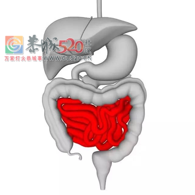 饿一顿饱一顿，最受伤的竟然不是胃而是……148 / 作者:疾控客服 / 帖子ID:235160