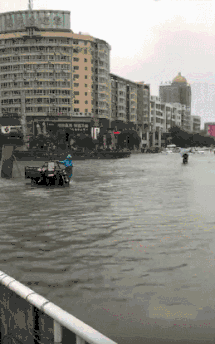 暴雨再次袭击桂林，怎一个“惨”字了得！！979 / 作者:九命猫 / 帖子ID:235172
