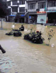 暴雨再次袭击桂林，怎一个“惨”字了得！！290 / 作者:九命猫 / 帖子ID:235172