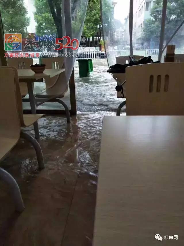 暴雨再次袭击桂林，怎一个“惨”字了得！！216 / 作者:九命猫 / 帖子ID:235172