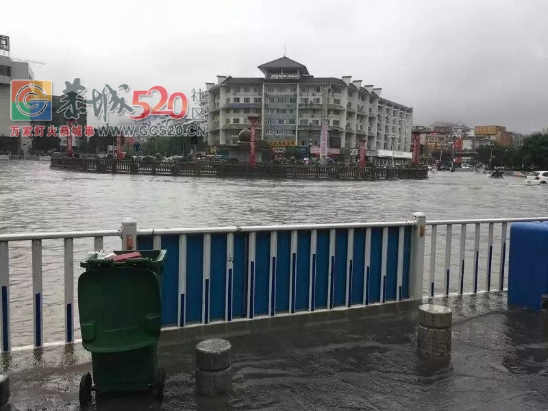 暴雨再次袭击桂林，怎一个“惨”字了得！！243 / 作者:九命猫 / 帖子ID:235172
