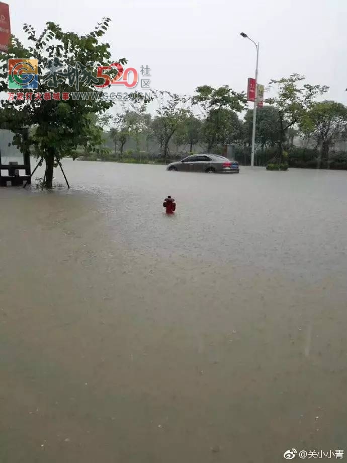 暴雨再次袭击桂林，怎一个“惨”字了得！！197 / 作者:九命猫 / 帖子ID:235172