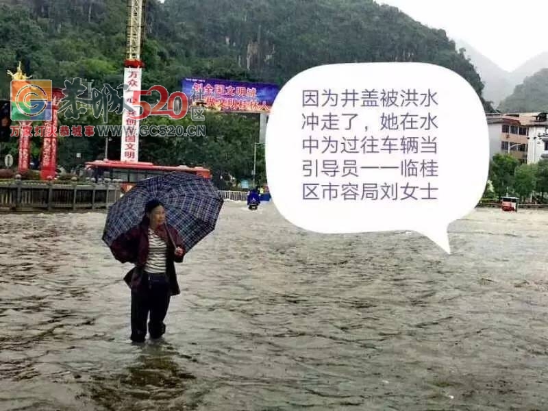 暴雨再次袭击桂林，怎一个“惨”字了得！！924 / 作者:九命猫 / 帖子ID:235172