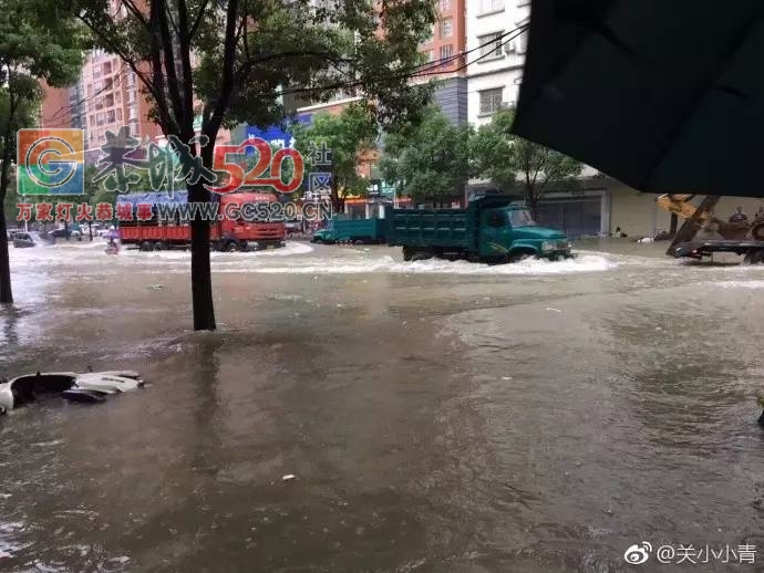 暴雨再次袭击桂林，怎一个“惨”字了得！！22 / 作者:九命猫 / 帖子ID:235172