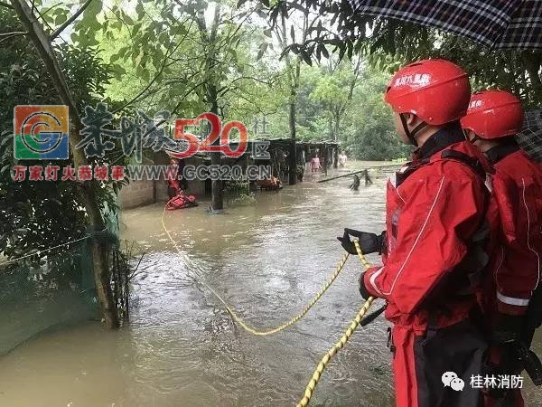 暴雨再次袭击桂林，怎一个“惨”字了得！！640 / 作者:九命猫 / 帖子ID:235172