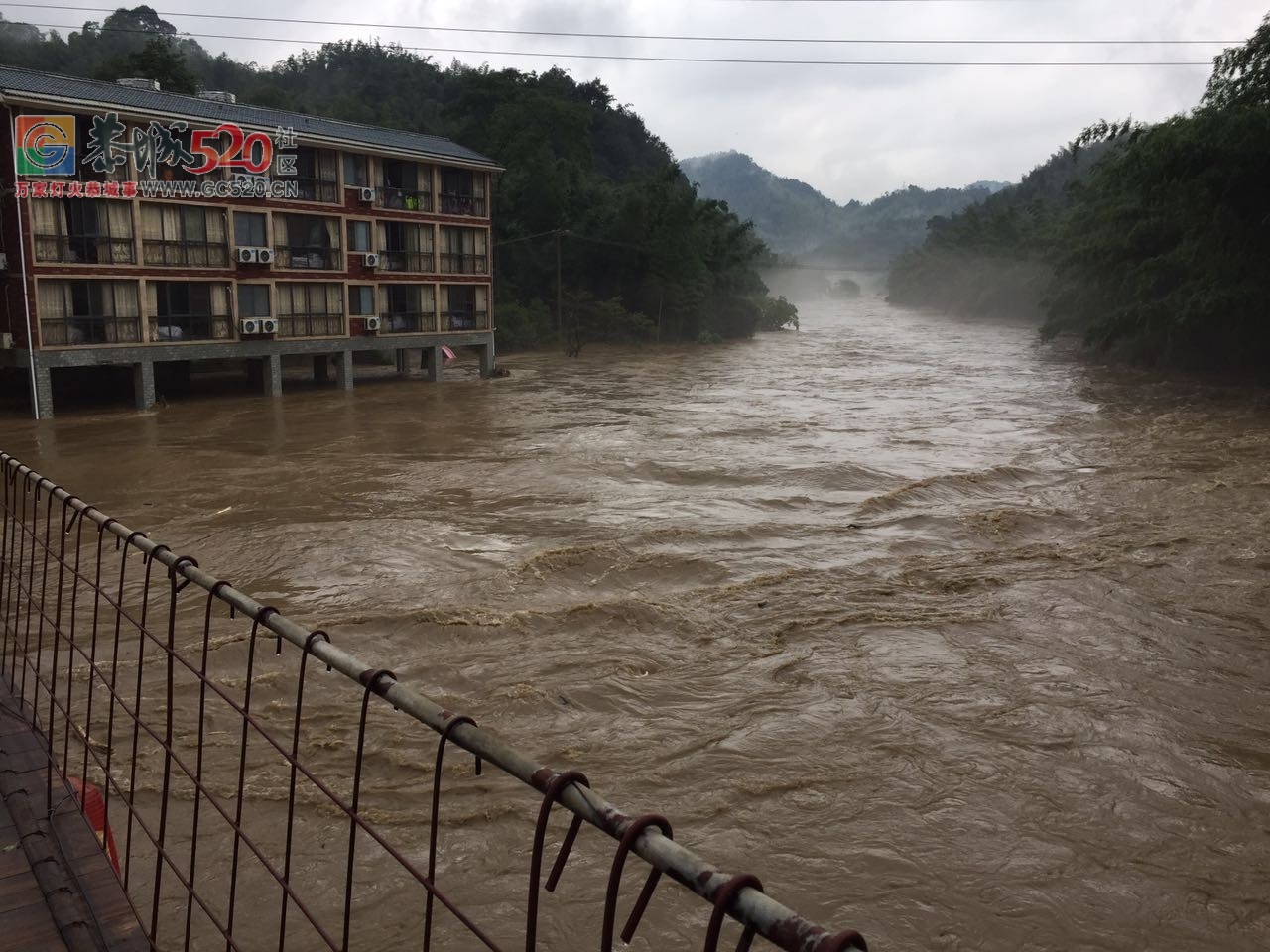 暴雨再次袭击桂林，怎一个“惨”字了得！！84 / 作者:九命猫 / 帖子ID:235172