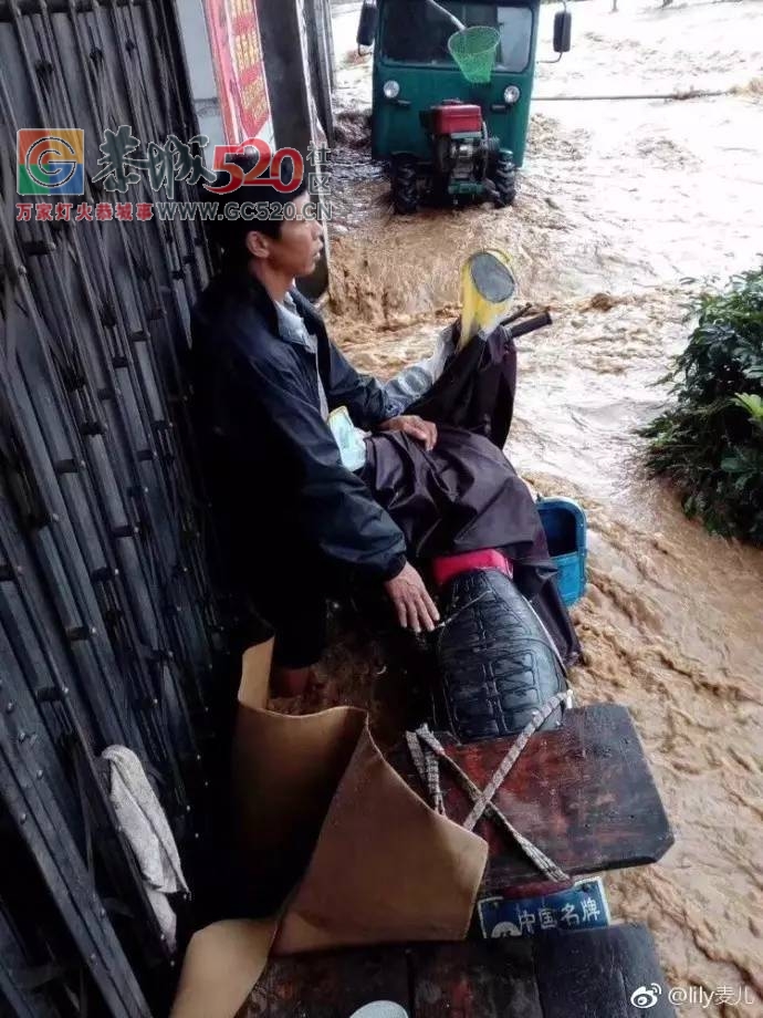 暴雨再次袭击桂林，怎一个“惨”字了得！！937 / 作者:九命猫 / 帖子ID:235172
