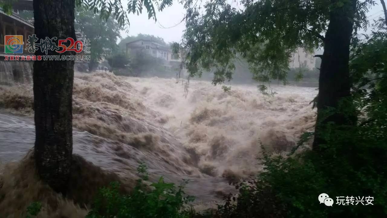 暴雨再次袭击桂林，怎一个“惨”字了得！！823 / 作者:九命猫 / 帖子ID:235172