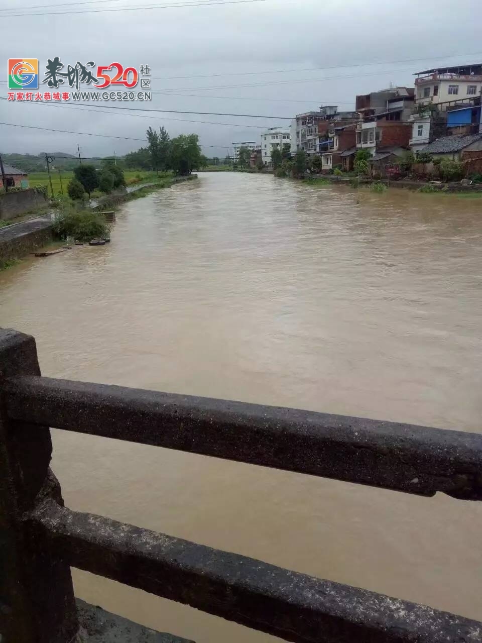 暴雨再次袭击桂林，怎一个“惨”字了得！！546 / 作者:九命猫 / 帖子ID:235172