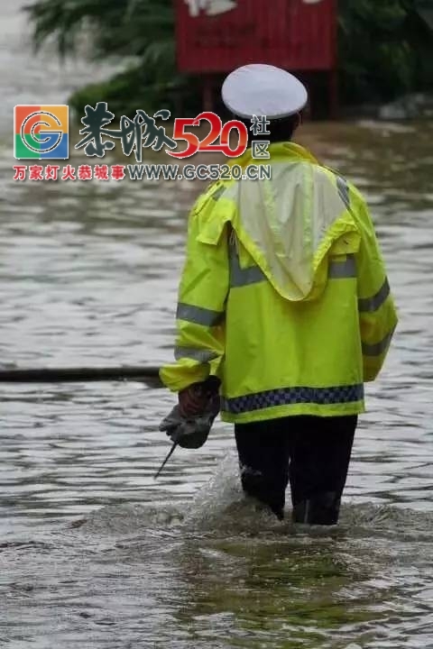 暴雨再次袭击桂林，怎一个“惨”字了得！！334 / 作者:九命猫 / 帖子ID:235172