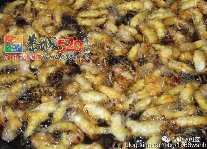舌尖上的“蜂米”，一道“重口味”的恭城乡间美食！131 / 作者:社区小编 / 帖子ID:235435