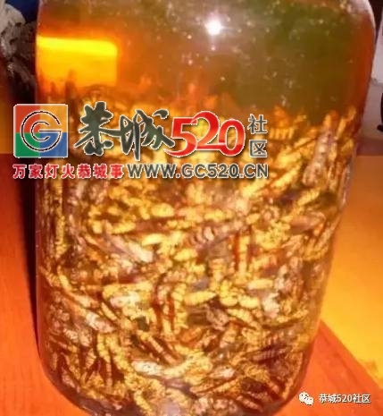 舌尖上的“蜂米”，一道“重口味”的恭城乡间美食！728 / 作者:社区小编 / 帖子ID:235435