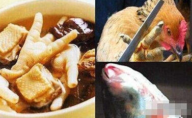 慎入！中国十大禁菜！7 / 作者:蟠龙 / 帖子ID:235516