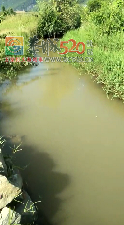 恭城西岭镇红岩一沟子的水被猪尿水污染176 / 作者:该做的事情 / 帖子ID:235539