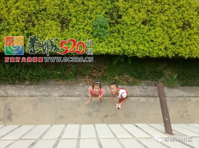 【回馈家乡】恭城大学生暑期返乡支教——走进平安北洞源小学256 / 作者:社区小编 / 帖子ID:235544