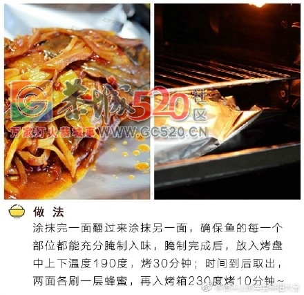 香喷喷的烤鱼，在家也能做467 / 作者:凤凰山脚的人家 / 帖子ID:235726