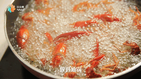 情人节瞎送花？不如送“虾”花！235 / 作者:九命猫 / 帖子ID:235890
