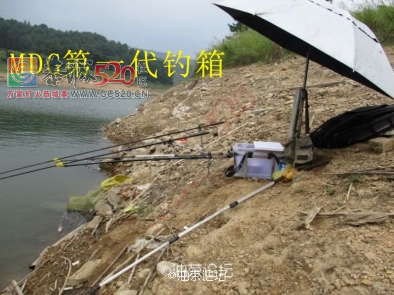 星期天俊山水库钓鱼游！MDG117 / 作者:MDG / 帖子ID:236267