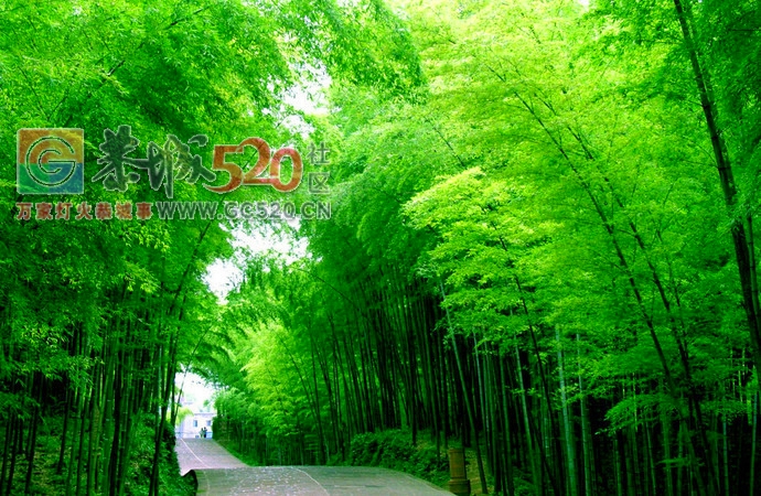 对不起！我要去猫儿山了！9月10日从恭城出发！有要一起的吗？829 / 作者:黑轩 / 帖子ID:236360